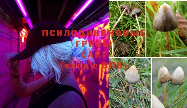 скорость Вяземский