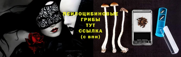 ешки Вязники
