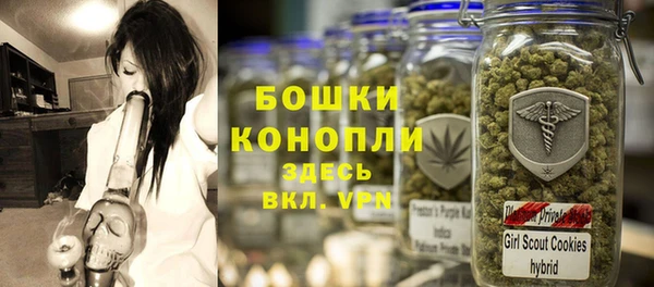 скорость Вяземский