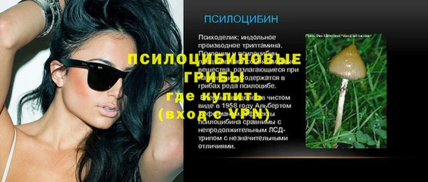 ешки Вязники