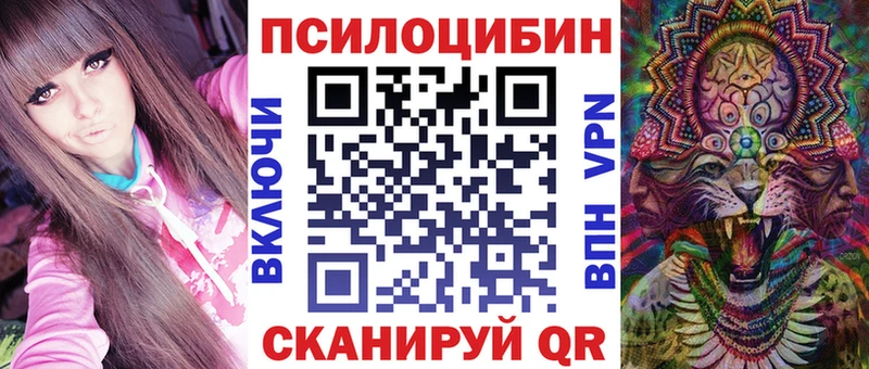 Галлюциногенные грибы Psilocybe Шенкурск