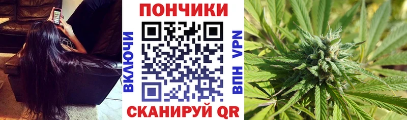 Купить где Шенкурск МАРИХУАНА индика